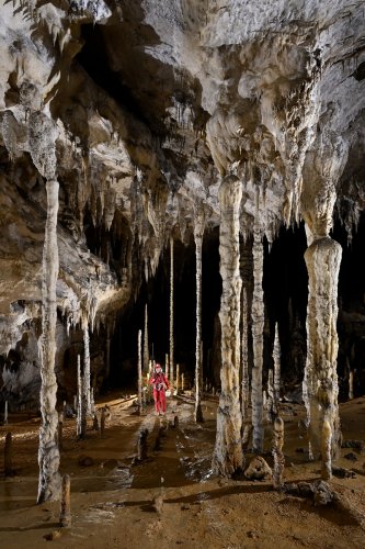 Cueva Coventosa (Cantabrie, Espagne) - Salle finale avec grands piliers(SP-26-1105)